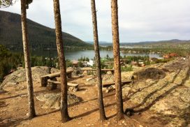 The Point View 1