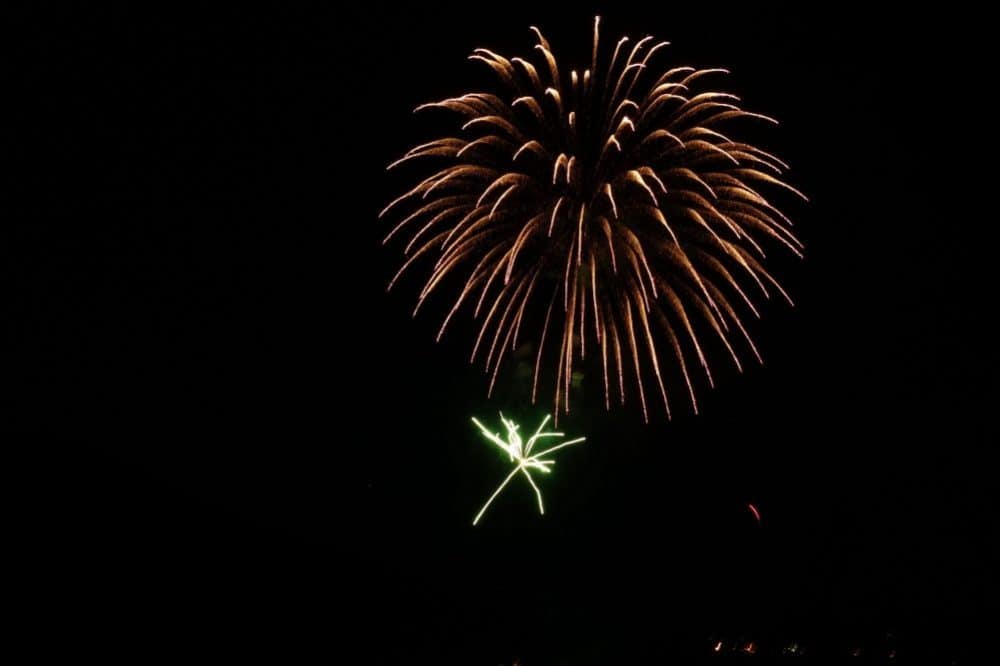 4th of July Celebration: Dinner, Music, and Fireworks